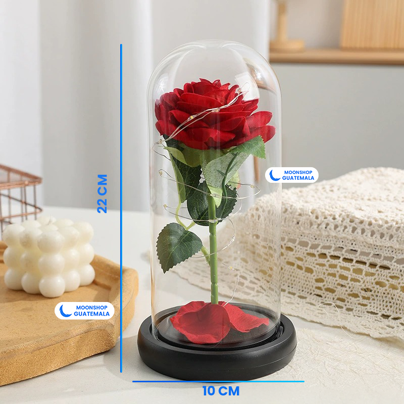 Rosa de la Bella y la Bestia 🌹 Lámpara Rosa Eterna en Cúpula de Cristal 🌟