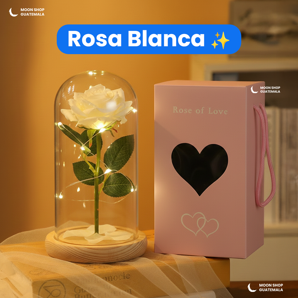 Rosa de la Bella y la Bestia 🌹 Lámpara Rosa Eterna en Cúpula de Cristal ✨