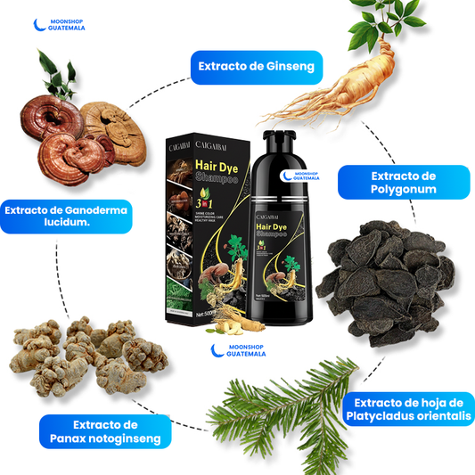 Shampoo 3 en 1 Tono Negro ✨ Nutre, Limpia y Cubre Canas 100% Natural