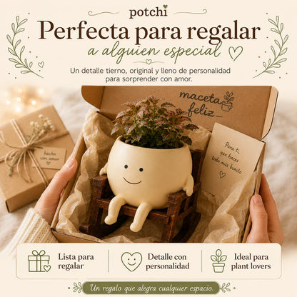 Maceta carita feliz dentro de una caja de regalo con tarjeta, lista para obsequiar
