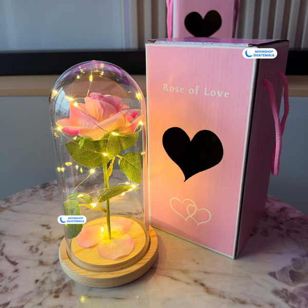 Rosa Eterna de la Bella y la Bestia en Cúpula de Cristal con Luces LED, Caja para Regalar