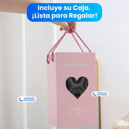 Rosa de la Bella y la Bestia 🌹 Lámpara Rosa Eterna en Cúpula de Cristal 🌟