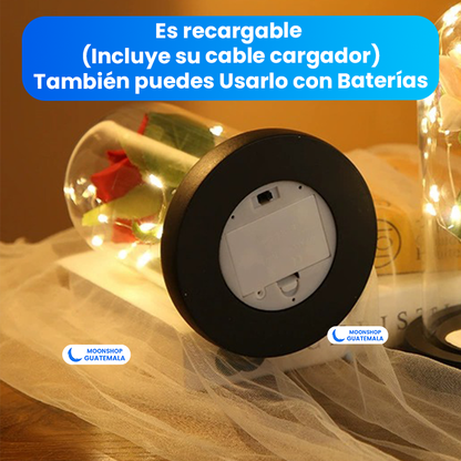 Rosa de la Bella y la Bestia 🌹 Lámpara Rosa Eterna en Cúpula de Cristal 🌟