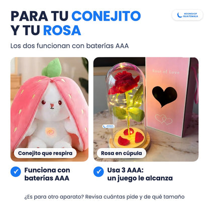 Baterías AAA para el conejito que respira y la rosa en cúpula, que usa 3