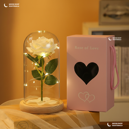 Rosa de la Bella y la Bestia 🌹 Lámpara Rosa Eterna en Cúpula de Cristal 🌟