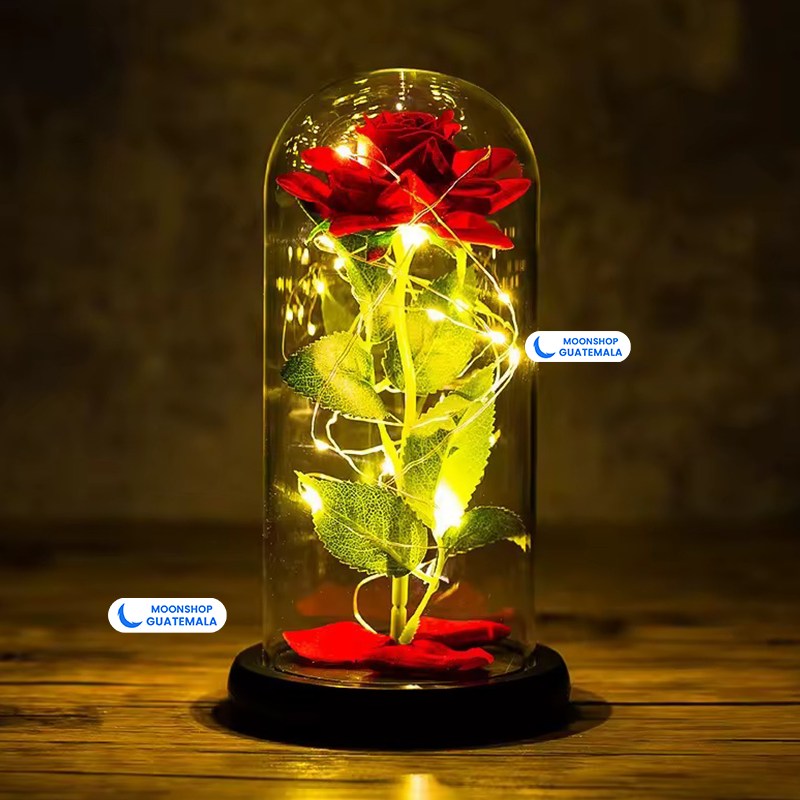Rosa de la Bella y la Bestia 🌹 Lámpara Rosa Eterna en Cúpula de Cristal 🌟