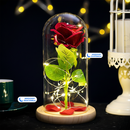 Rosa de la Bella y la Bestia 🌹 Lámpara Rosa Eterna en Cúpula de Cristal 🌟