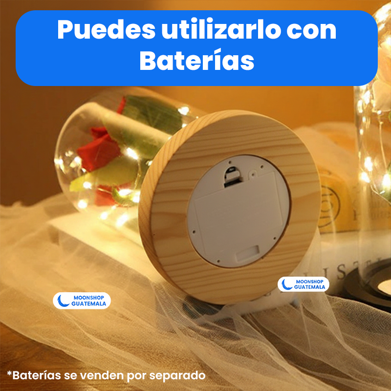 Rosa de la Bella y la Bestia 🌹 Lámpara Rosa Eterna en Cúpula de Cristal 🌟