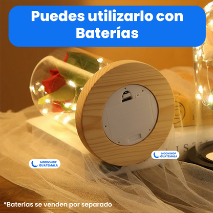 Rosa de la Bella y la Bestia 🌹 Lámpara Rosa Eterna en Cúpula de Cristal 🌟