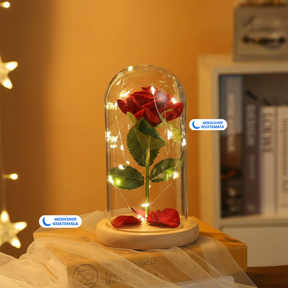Rosa de la Bella y la Bestia 🌹 Lámpara Rosa Eterna en Cúpula de Cristal ✨