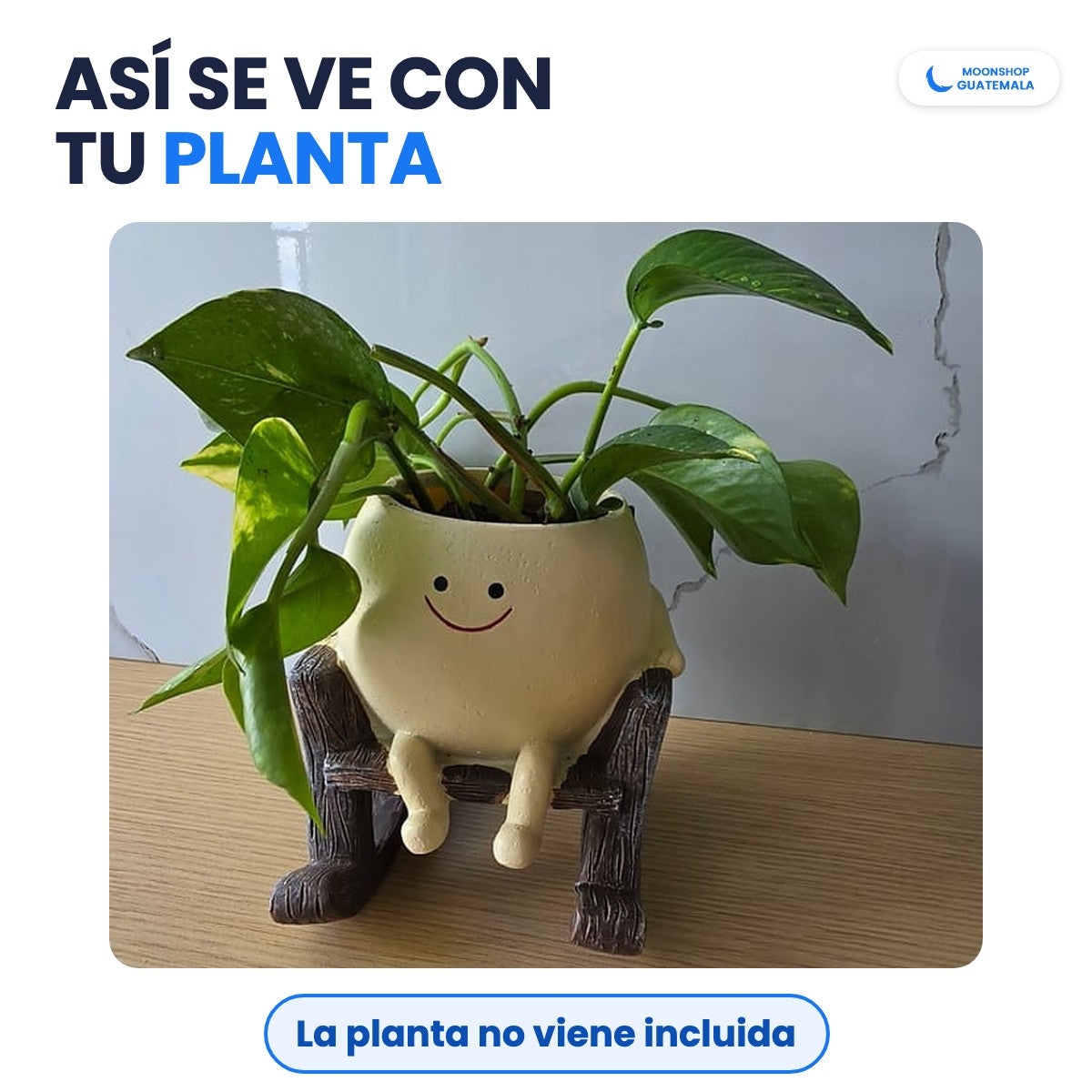 Maceta carita feliz de resina en su silla mecedora con una planta, sobre una mesa de madera. La planta no viene incluida