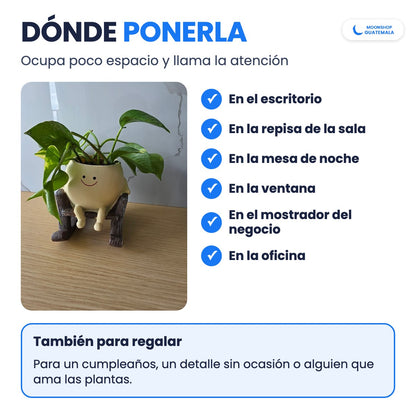 Maceta carita feliz en una mesa con planta: para el escritorio, la repisa, la mesa de noche, la ventana o el negocio