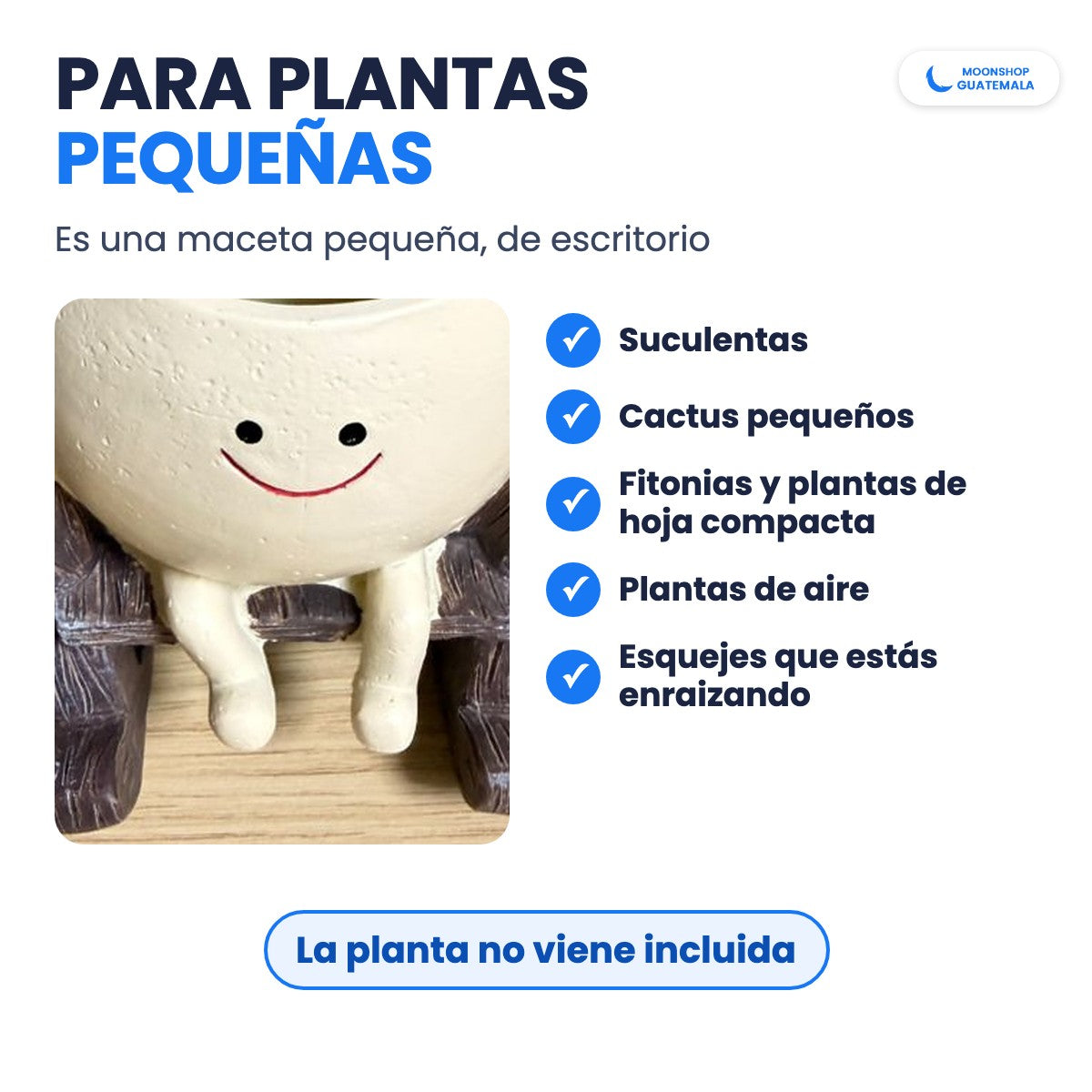 Maceta carita feliz pequeña, de escritorio, para suculentas, cactus pequeños, fitonias, plantas de aire y esquejes