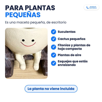 Maceta carita feliz pequeña, de escritorio, para suculentas, cactus pequeños, fitonias, plantas de aire y esquejes