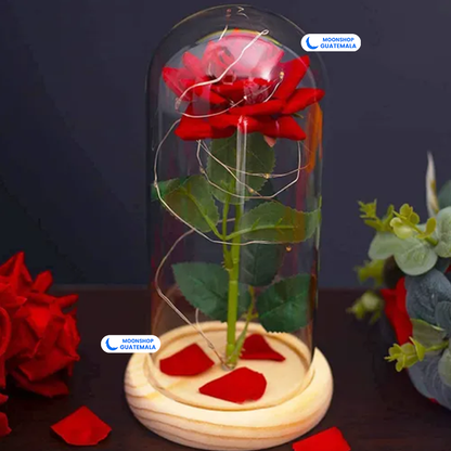 Rosa de la Bella y la Bestia 🌹 Lámpara Rosa Eterna en Cúpula de Cristal 🌟