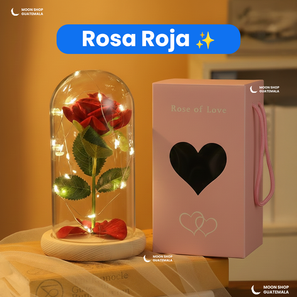 Rosa de la Bella y la Bestia 🌹 Lámpara Rosa Eterna en Cúpula de Cristal 🌟