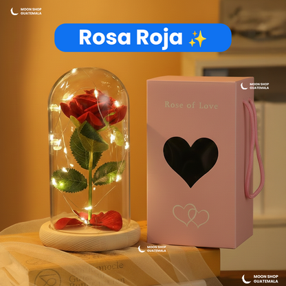 Rosa de la Bella y la Bestia 🌹 Lámpara Rosa Eterna en Cúpula de Cristal 🌟