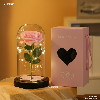 Rosa de la Bella y la Bestia 🌹 Lámpara Rosa Eterna en Cúpula de Cristal 🌟