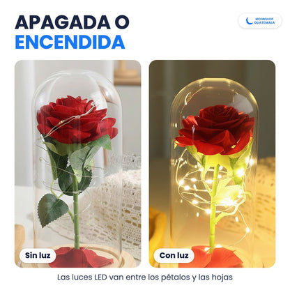 La rosa eterna sin luz y con luz: las luces LED van entre los pétalos y las hojas