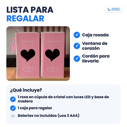 Cajas rosadas Rose of Love con ventana de corazón y cordón; incluye 1 rosa en cúpula con luces LED y 1 caja para regalar