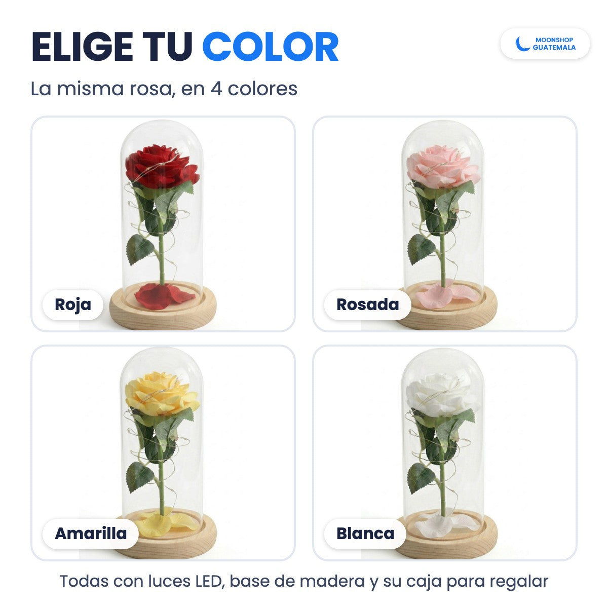 Rosa eterna en cúpula de cristal en 4 colores: roja, rosada, amarilla y blanca