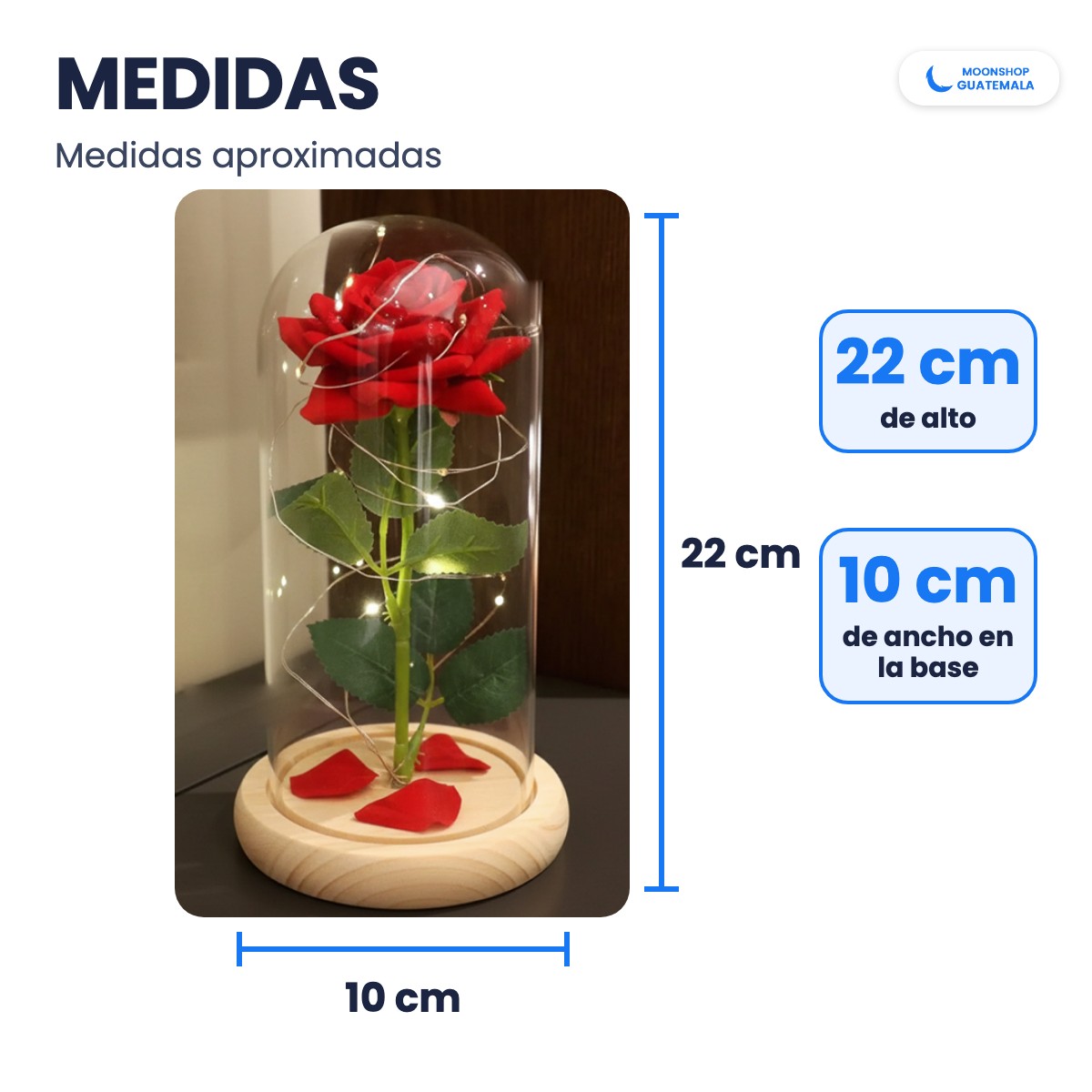 Medidas aproximadas de la rosa eterna: 22 cm de alto con la base y 10 cm de ancho en la base