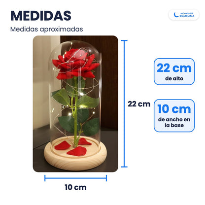 Medidas aproximadas de la rosa eterna: 22 cm de alto con la base y 10 cm de ancho en la base