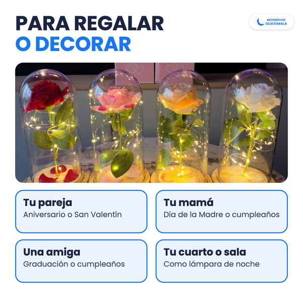 Rosas eternas roja, rosada, amarilla y blanca encendidas, para regalar a tu pareja, a tu mamá o a una amiga, o para decorar tu cuarto