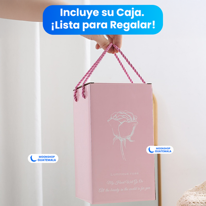 Rosa de la Bella y la Bestia 🌹 Lámpara Rosa Eterna en Cúpula de Cristal 🌟