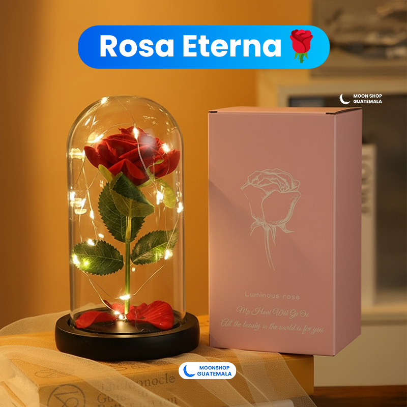 Rosa de la Bella y la Bestia 🌹 Lámpara Rosa Eterna en Cúpula de Cristal 🌟