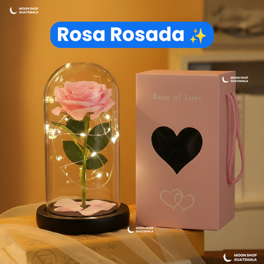 Rosa de la Bella y la Bestia 🌹 Lámpara Rosa Eterna en Cúpula de Cristal 🌟