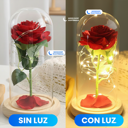 Rosa de la Bella y la Bestia 🌹 Lámpara Rosa Eterna en Cúpula de Cristal 🌟