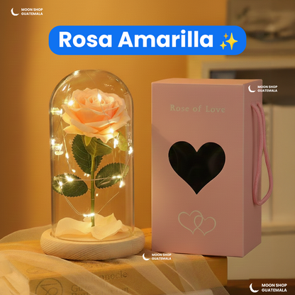 Rosa de la Bella y la Bestia 🌹 Lámpara Rosa Eterna en Cúpula de Cristal 🌟